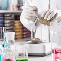 lab1 lab1